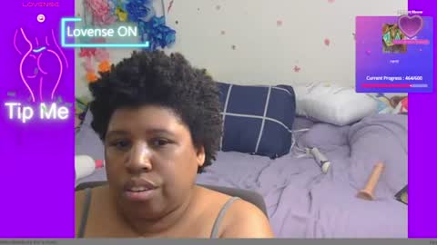 kitten online show from June 15, 2:58 am