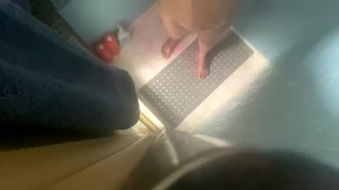 kittyLuvsDee online show from September 13, 1:30 am