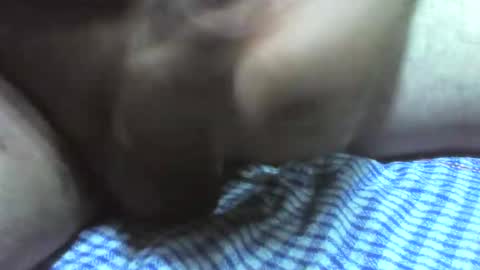 klok8230 online show from November 14, 2:58 am