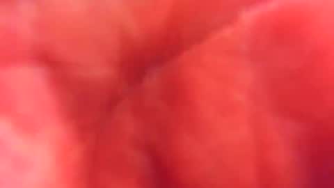 kobayaske online show from February 15, 12:15 am