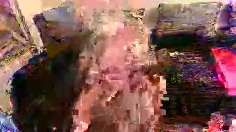 kobinus online show from January 4, 3:17 pm