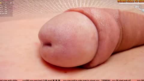 Petra online show from March 24, 8:26 pm