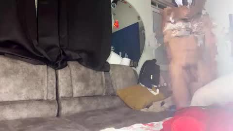 steven online show from March 30, 7:19 am