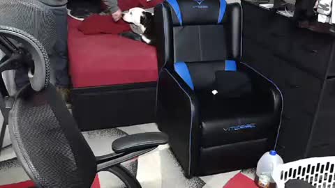 l1v1nth3dr3am online show from December 21, 10:43 am