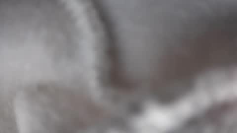 hugbug online show from December 17, 4:34 am