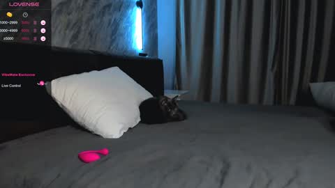 Bella online show from January 28, 1:49 pm