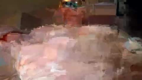 lancefer69 online show from February 26, 8:18 am