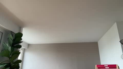 Lanimal online show from October 3, 8:00 am