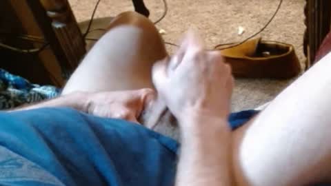 laststeven online show from February 27, 9:36 pm