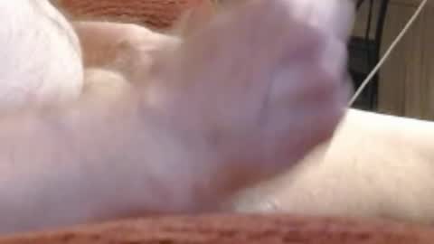 laststeven online show from December 17, 12:01 am