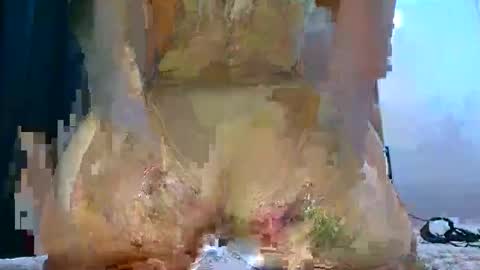 kelly online show from February 7, 2:47 am