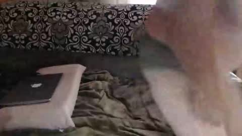 Maria online show from September 15, 5:31 am