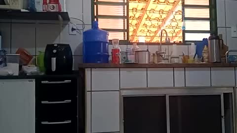 Snapshot of lelefiel chatting on October 8, 11:27 am Pequeno Urso online show from October 8, 11:27 am