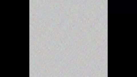 lemonmczesty online show from February 11, 10:41 am