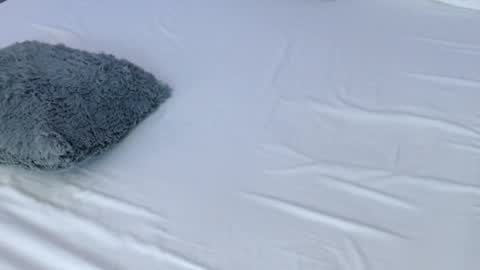 LUCY online show from November 29, 10:50 pm