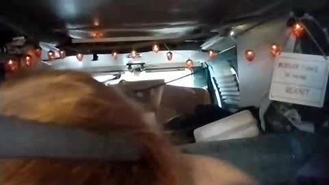 LesleyGumGrass- The Boring Trans girl online show from April 2, 7:21 pm