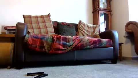 paul online show from February 9, 9:02 am