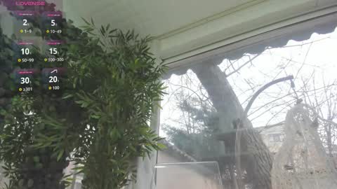 lexi_storm online show from December 22, 8:54 am