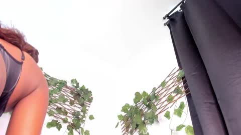 Lexieegrey online show from December 20, 3:52 pm