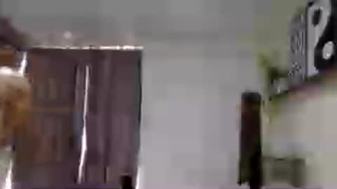 Liam online show from June 15, 2:53 pm