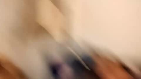 likdatass69247 online show from December 28, 6:28 am