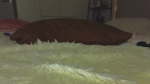 lili__roze_ online show from November 29, 5:48 am