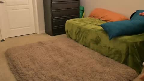 L online show from February 14, 10:38 am