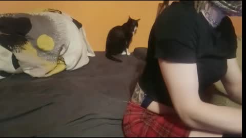 Lilli Sissy SlutCat online show from January 9, 7:25 am