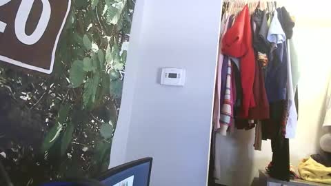 lilybvixen online show from February 7, 2:42 pm