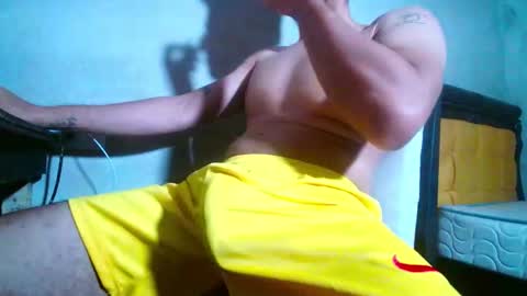 lion_20cm online show from November 1, 5:39 am