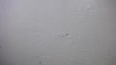 Snapshot of lisa_branch chatting on October 4, 10:24 am lisa_branch online show from October 4, 10:24 am