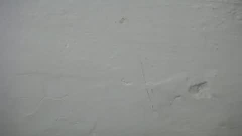 Snapshot of lisa_branch chatting on October 6, 7:10 pm lisa_branch online show from October 6, 7:10 pm