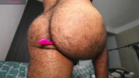 Little bear - give my room a like thanks. online show from April 15, 1:20 am