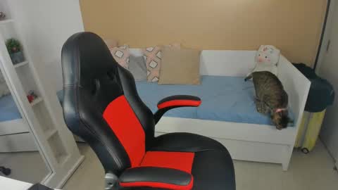 little_kitty4 online show from November 20, 10:07 pm