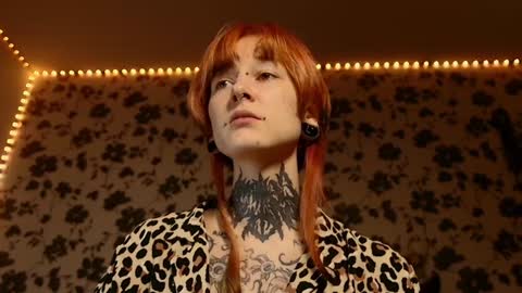 Niki  free tg channel with some photos gifs and info about streams  online show from February 3, 3:49 pm