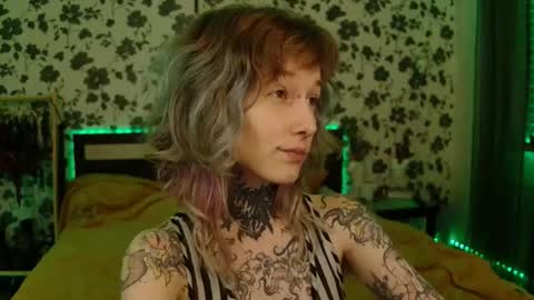 Niki  free tg channel with some photos gifs and info about streams  online show from October 19, 8:24 pm