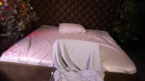 liviashy online show from February 4, 7:01 am