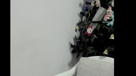 Snapshot of lizz1305 chatting on December 26, 3:20 pm lizz1305 online show from December 26, 3:20 pm