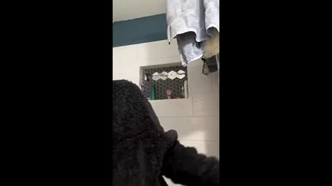 Missbehaved8 online show from January 16, 12:25 pm