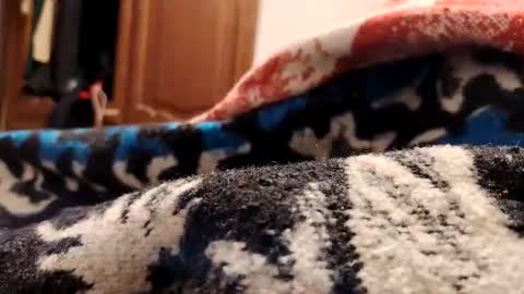 loganncky online show from February 18, 7:52 am