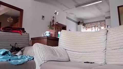 LOLA HUESO y ERIC online show from October 16, 9:53 am