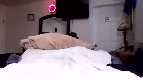 Snapshot of lookatmecum4you chatting on October 17, 8:29 am lookatmecum4you online show from October 17, 8:29 am