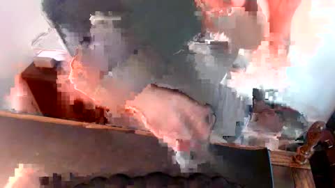 lreed090 online show from May 13, 7:45 pm