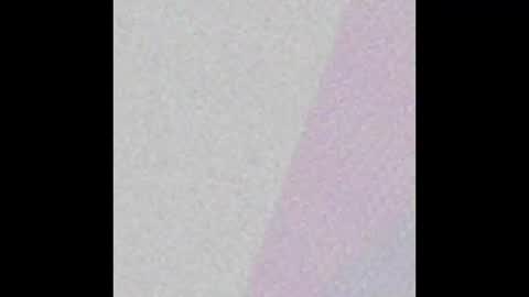 lthbthsi online show from February 19, 12:55 pm