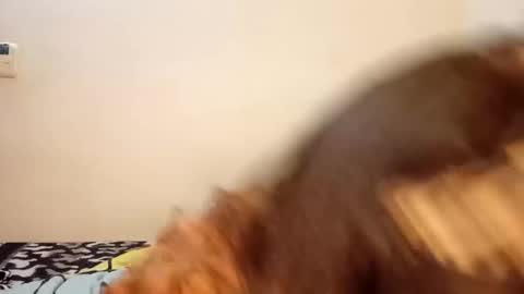 luanapowerful online show from November 20, 1:37 am