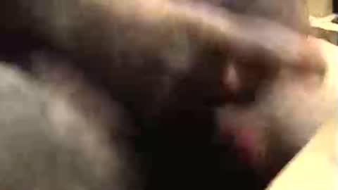 lukestarfckr online show from October 9, 9:37 am