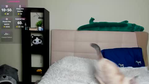 Hi everyone my name is Tina   online show from January 8, 1:11 am