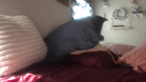 Luna Daddys Girl online show from September 11, 9:38 pm