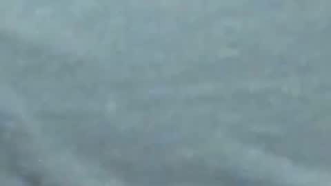 lustgardener67 online show from January 27, 10:06 am