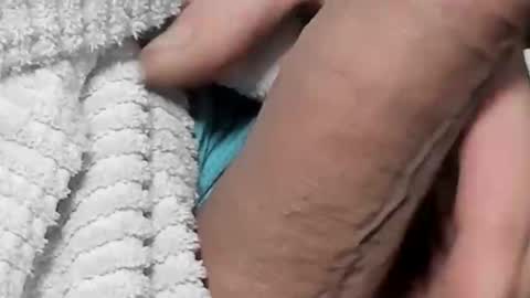 lustgardener67 online show from February 4, 5:45 pm